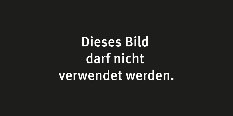 Der eineinhalb-geschossige Entwurf mit versetztem Pultdach macht das Haus zu einem besonderen Blickfang.